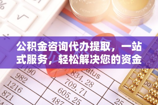 栾川公积金咨询代办提取，一站式服务，轻松解决您的资金需求