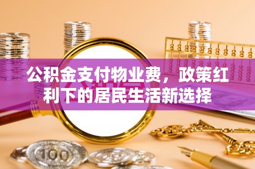 栾川公积金支付物业费，政策红利下的居民生活新选择