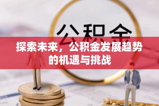 栾川探索未来，公积金发展趋势的机遇与挑战