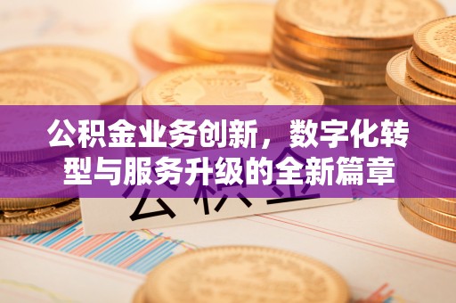 栾川公积金业务创新，数字化转型与服务升级的全新篇章