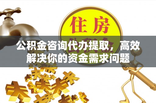 栾川公积金咨询代办提取，高效解决你的资金需求问题