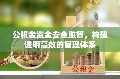 栾川公积金资金安全监管，构建透明高效的管理体系