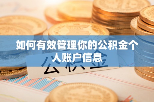 栾川如何有效管理你的公积金个人账户信息