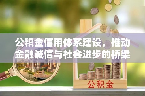 栾川公积金信用体系建设，推动金融诚信与社会进步的桥梁