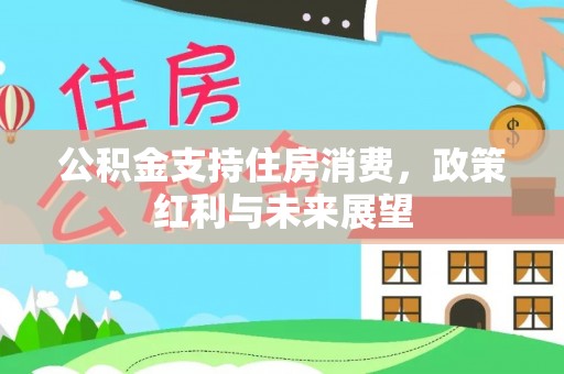 栾川公积金支持住房消费，政策红利与未来展望