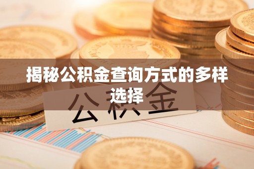 栾川揭秘公积金查询方式的多样选择