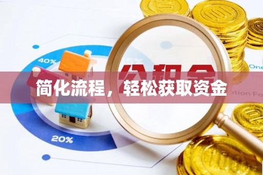栾川简化流程，轻松获取资金