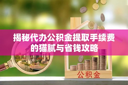 栾川揭秘代办公积金提取手续费的猫腻与省钱攻略