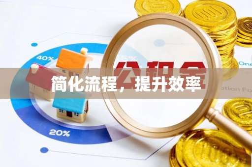 栾川简化流程，提升效率