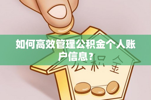 栾川如何高效管理公积金个人账户信息？
