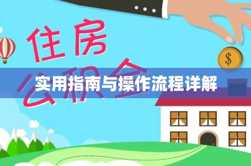 栾川实用指南与操作流程详解