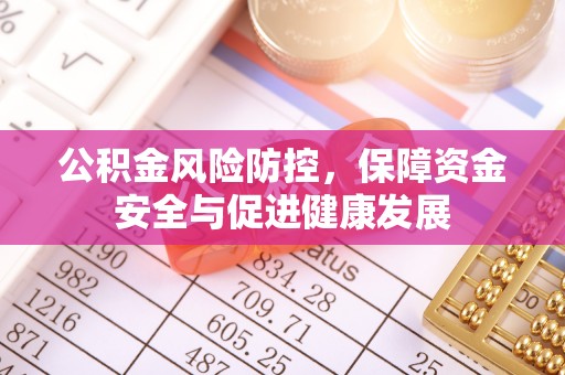 栾川公积金风险防控，保障资金安全与促进健康发展
