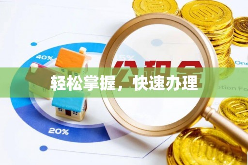 栾川轻松掌握，快速办理