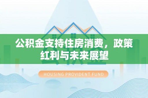 栾川公积金支持住房消费，政策红利与未来展望