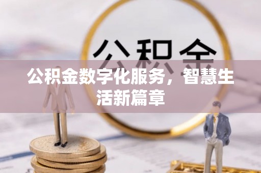 栾川公积金数字化服务，智慧生活新篇章