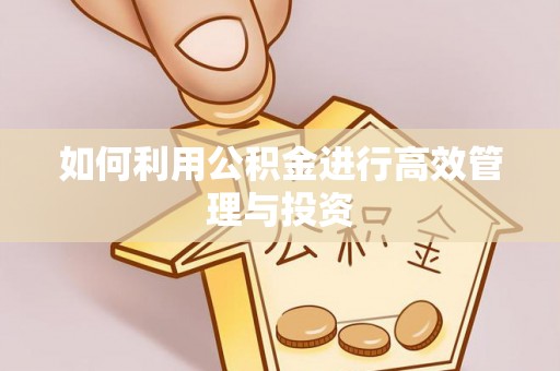 栾川如何利用公积金进行高效管理与投资