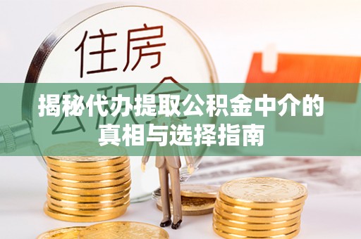 栾川揭秘代办提取公积金中介的真相与选择指南
