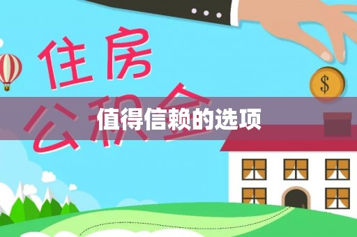 栾川值得信赖的选项