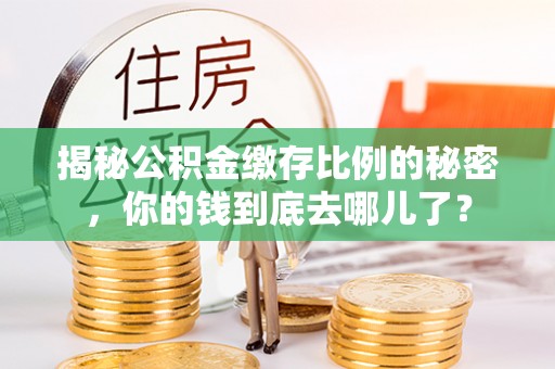 栾川揭秘公积金缴存比例的秘密，你的钱到底去哪儿了？