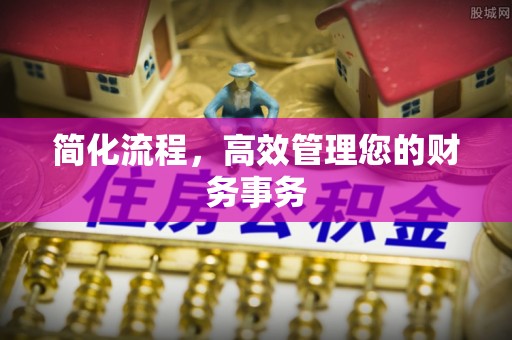 栾川简化流程，高效管理您的财务事务