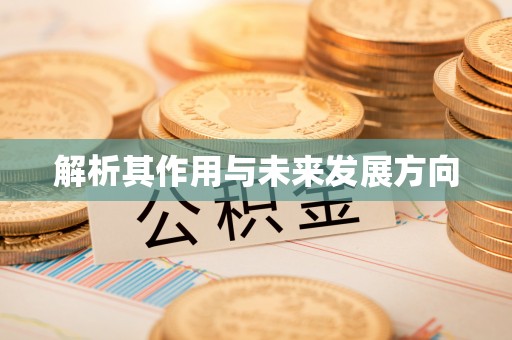 栾川解析其作用与未来发展方向