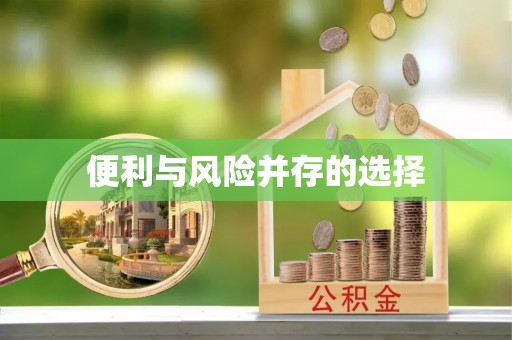 栾川便利与风险并存的选择