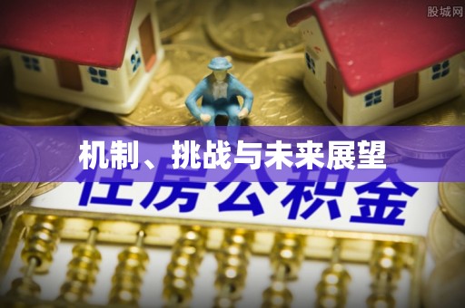 栾川机制、挑战与未来展望