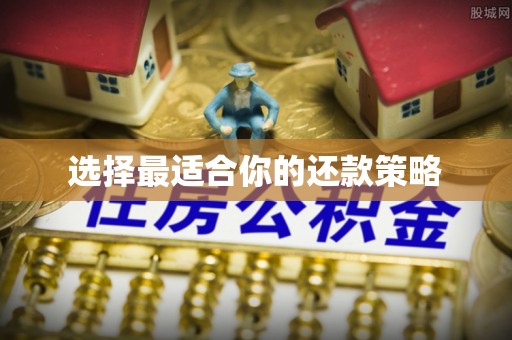 栾川选择最适合你的还款策略