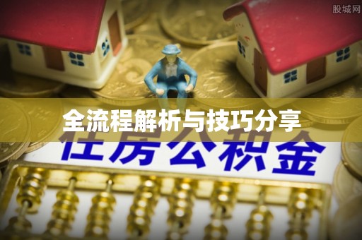 栾川全流程解析与技巧分享