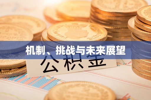 栾川机制、挑战与未来展望
