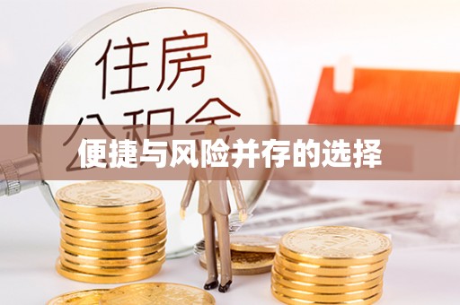 栾川便捷与风险并存的选择